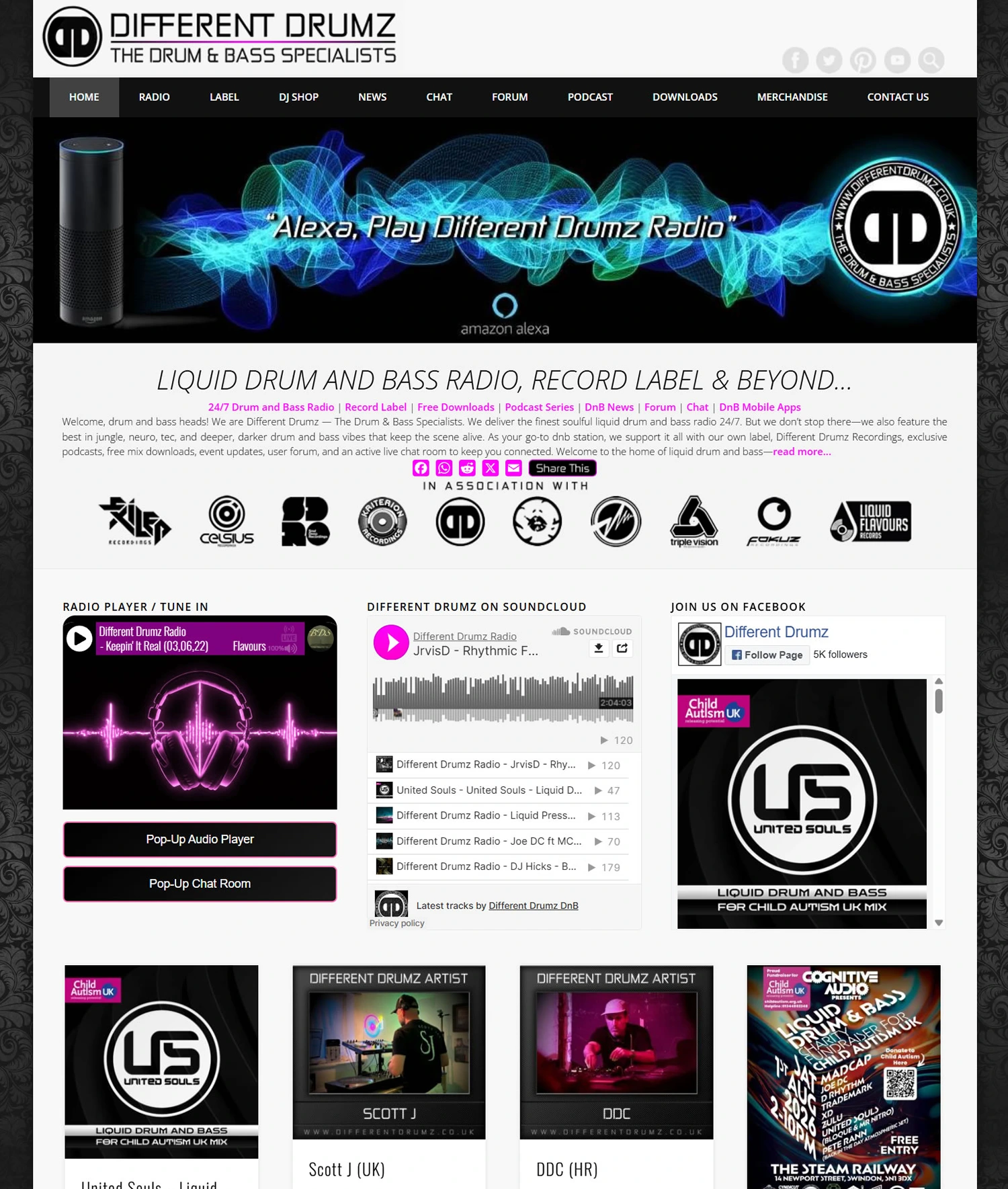 Different Drumz Music, Media & Entertainment Website Preview Different Drumz Music, Media & Entertainment Website Preview