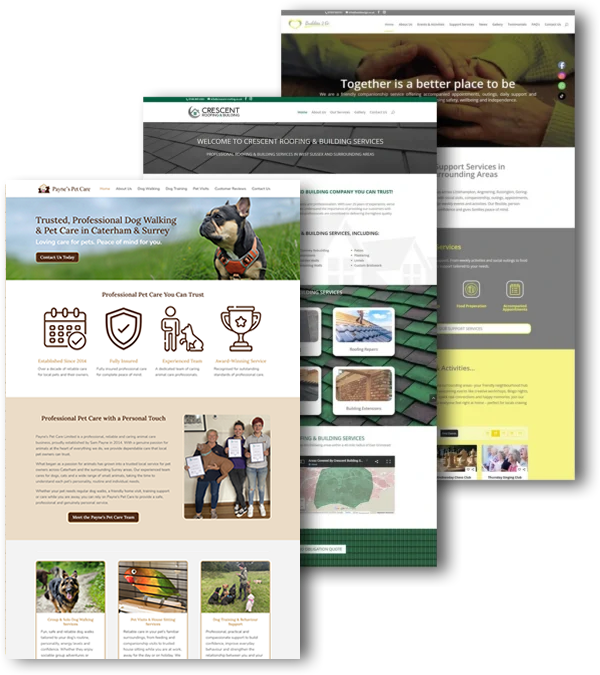Multi Website Designs Previews Multi Website Designs Preview