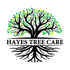 Hayes Tree Care Logo design for Hayes Tree Care by N2O Designs