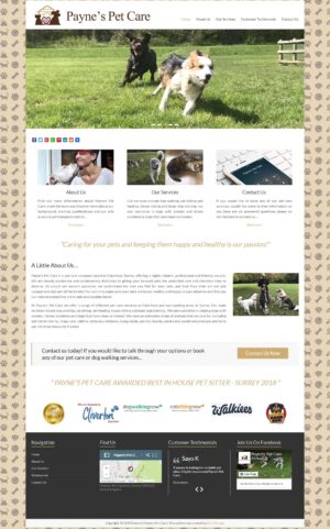 Payne's Pet Care Website Design by N2O Designs
